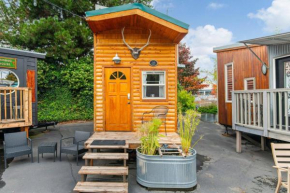 Tiny Digs Cabin House
